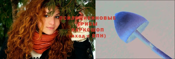 шишки Абдулино