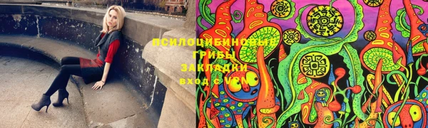 шишки Абдулино