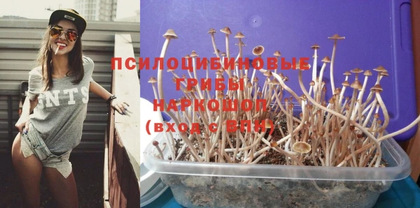 гашишное масло Абинск