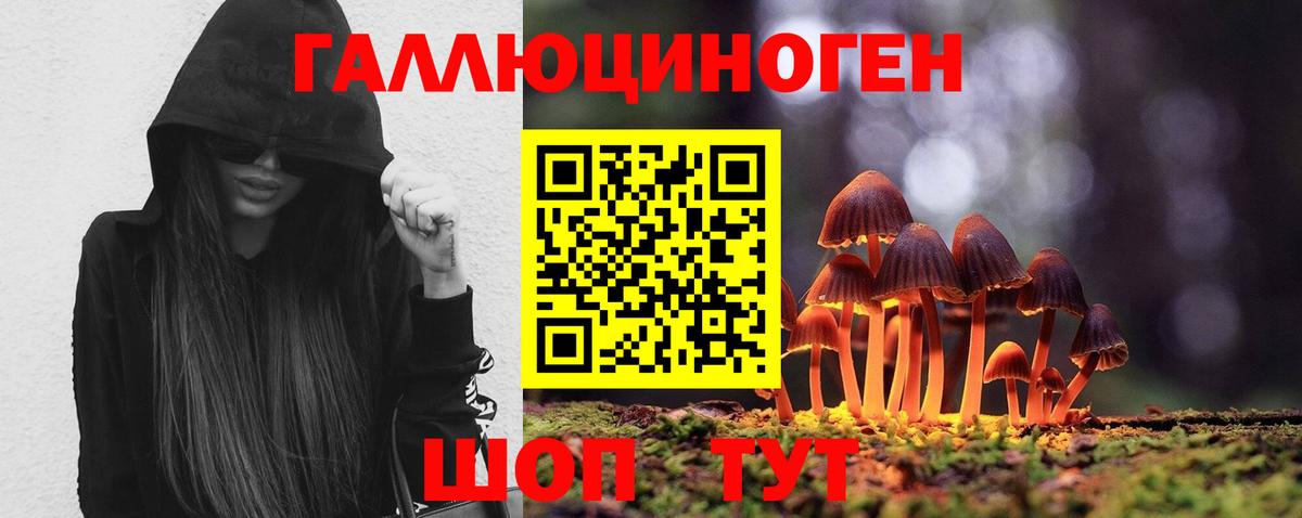 Галлюциногенные грибы Cubensis  Псилоцибиновые грибы Cubensis  Майский  Вход с VPN 